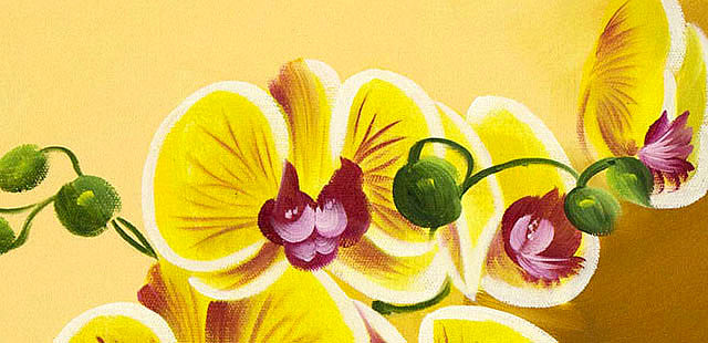 0B 《高贵兰花》 当代油画家 王露露 花卉写实油画